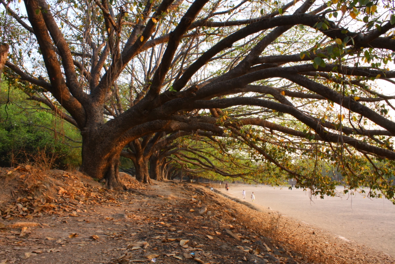 Bouldering in Pune, Part&nbsp;I
