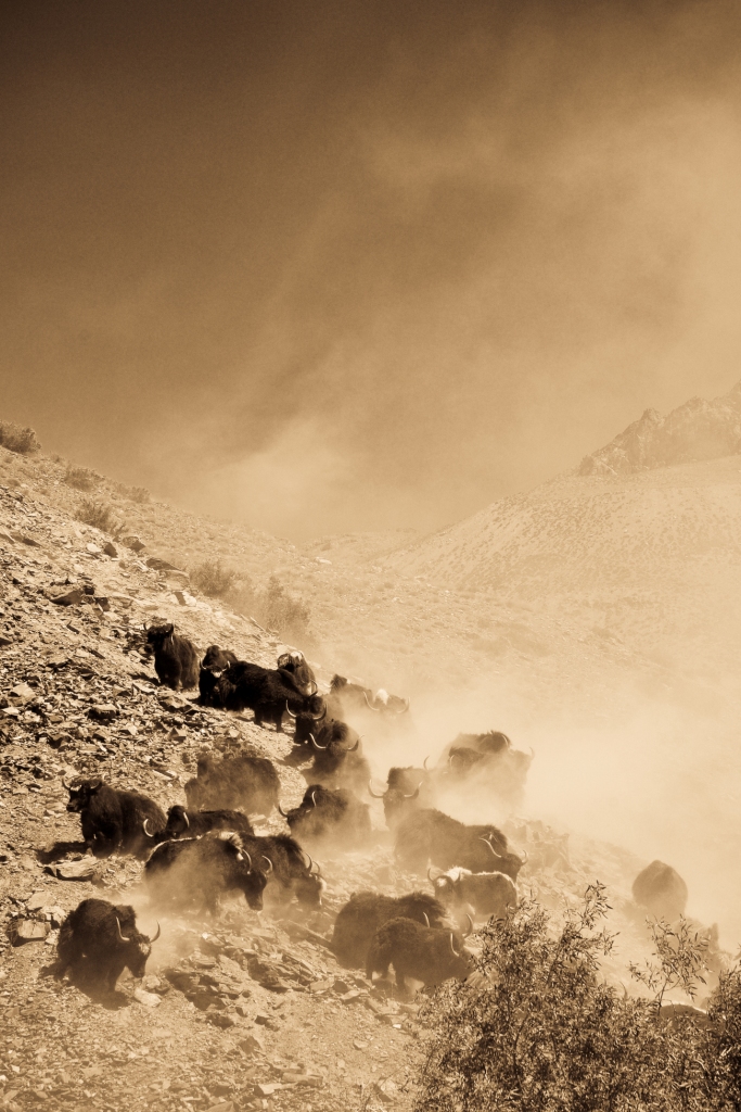 Spiti Journey, Part 8, Some more of&nbsp;Satyachen