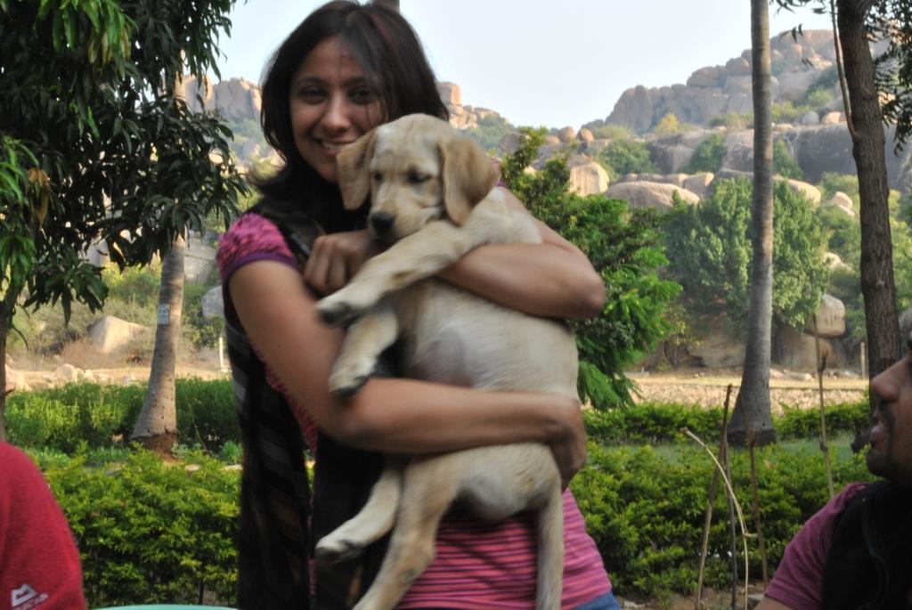 dogs at Goan Cottage