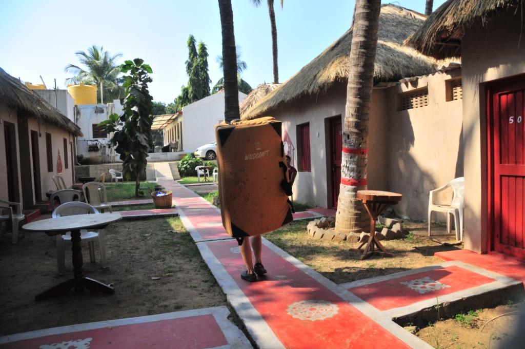 Crash Pad tortoise at Gauthami guest house