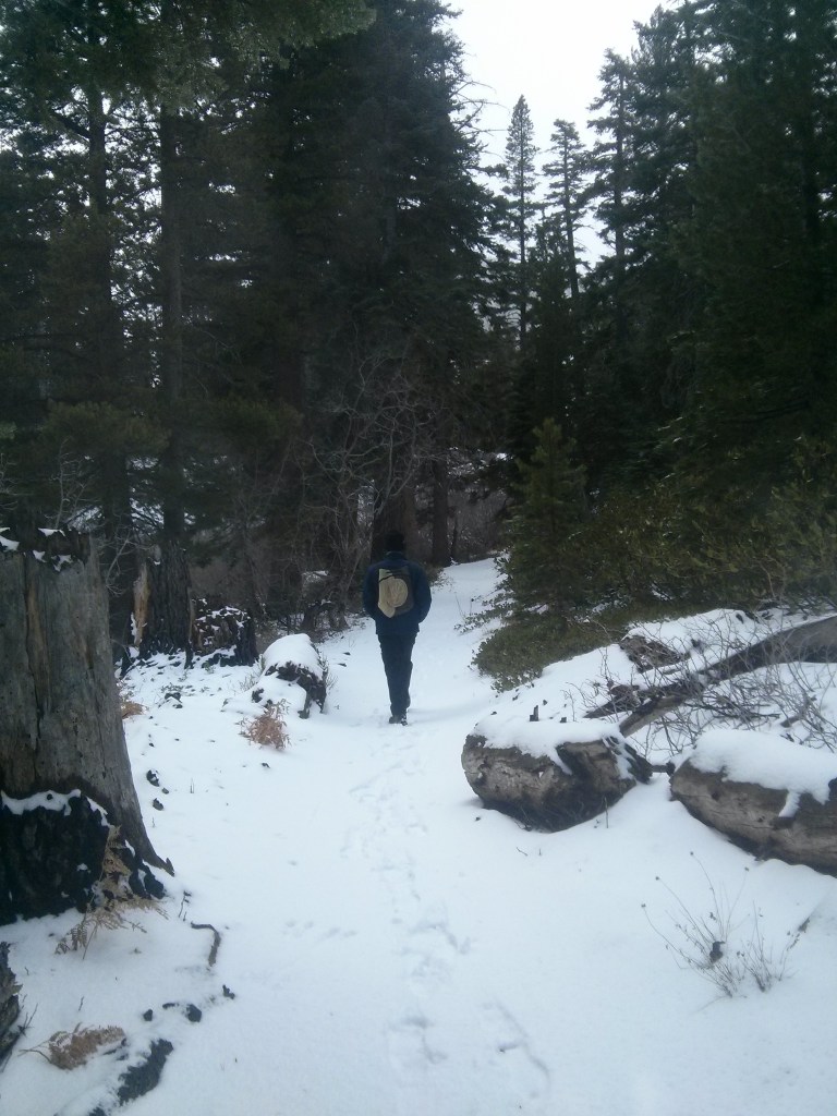 On the way  from the lookout to Granite Lake