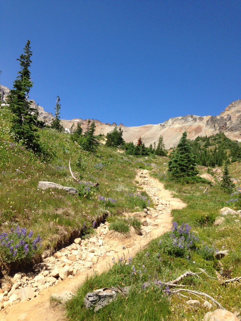 Trail from Glacier Basin Campground to the moraine