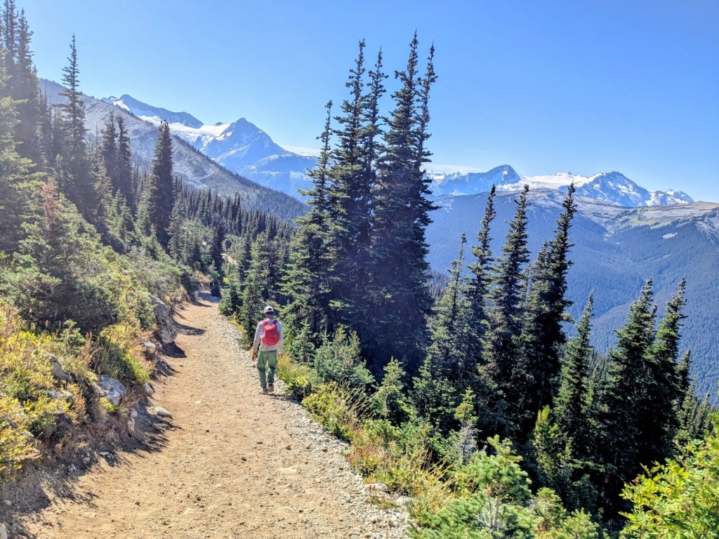 Approach trail to Blackcomb lake