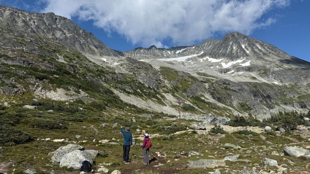 Looking at Mount Cook, Armchair Traverse, and Mount Weart